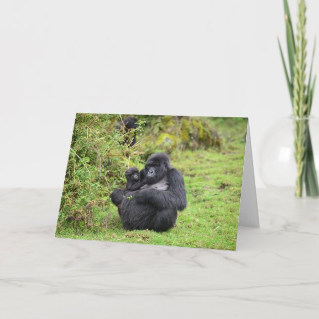 Fondo del gorila de Dian Fossey de las tarjetas de (Anverso)