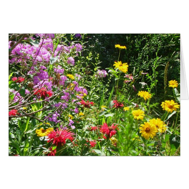 Fondo del jardín de cabañas (Anverso (Horizontal))