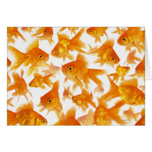 Fondo que muestra un grupo grande de Goldfish