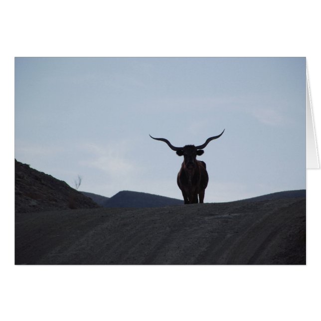 Fonolocalizador de bocinas grandes de Tejas (Anverso (Horizontal))