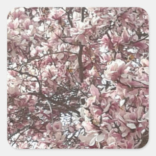 Forever Spring Magnolia Pegatinas