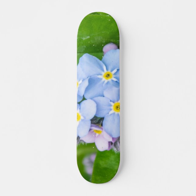 Forget-me-not, Skateboard (Anverso )