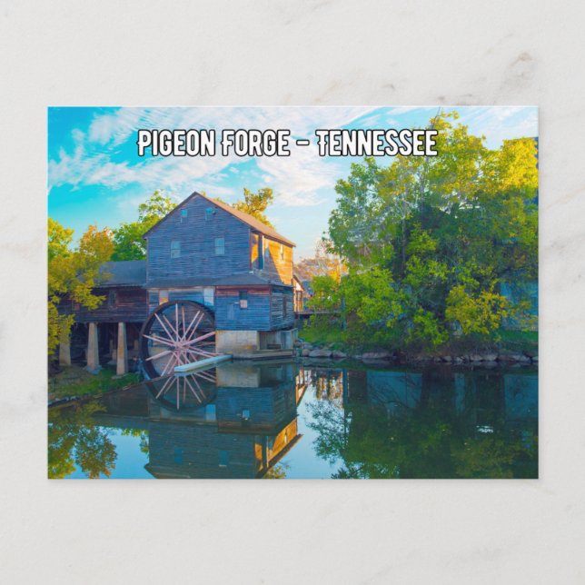 Forja de pichón - Postal de Tennessee (Anverso)