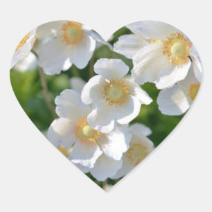 Forma De Corazón Flores pequeñas blancas en Pegatina cardíaco