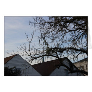 Forma de vida de New Orleans