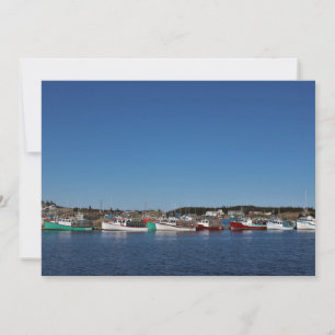 Forma de vida de Nova Scotian