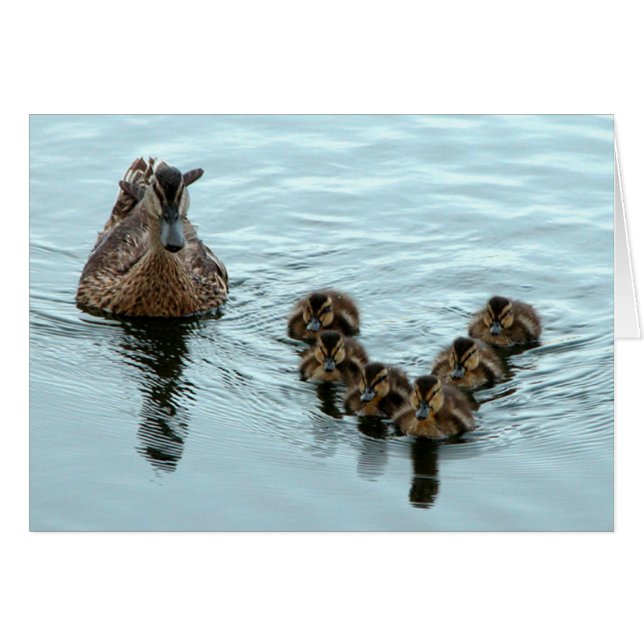Formación de pato (Anverso (Horizontal))