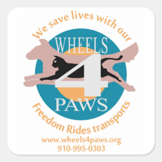 formas y tamaños de pegatina Asst