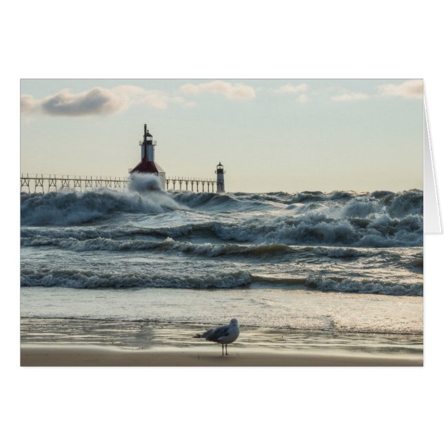 Forzar detrás de la belleza (Anverso (Horizontal))