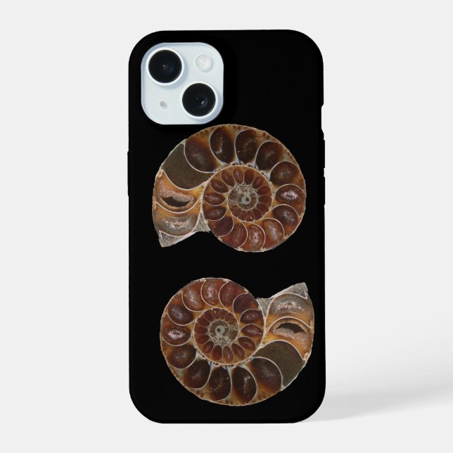 Fósiles de ammonites (Reverso )
