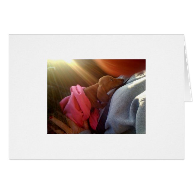 foto[1] (Anverso (Horizontal))