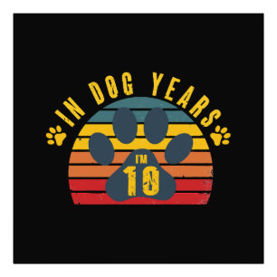 Foto 10 en años de perro