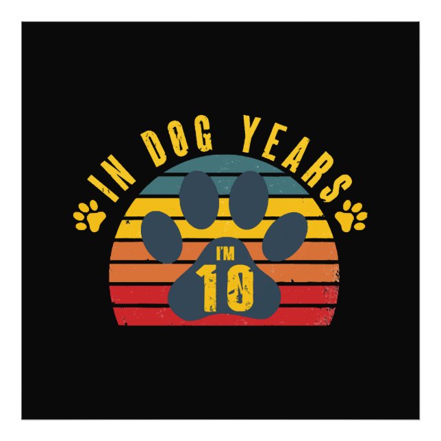 Foto 10 en años de perro (Frente)