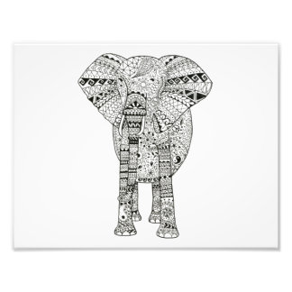 Foto 11 x 8.5 Elefante de mano única