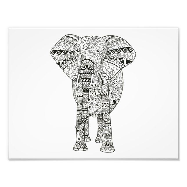 Foto 11 x 8.5 Elefante de mano única (Frente)