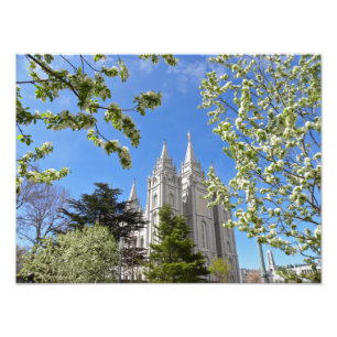 Foto 16" templo del X12" Salt Lake City LDS