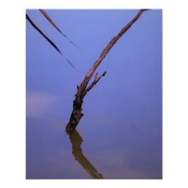 Foto #1-Etang de Scamandre en Camargue. 