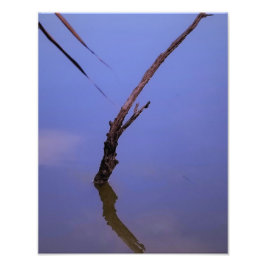 Foto #1-Etang de Scamandre en Camargue. 