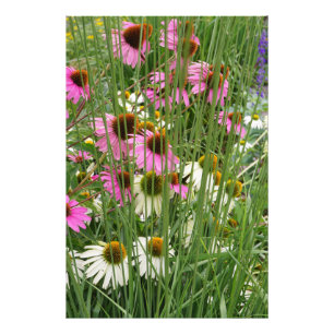 Foto 24 "x36" de las flores