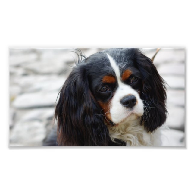 Foto 2.ª caballería (Frente)