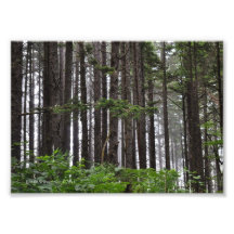 5X7 La Push 2ª Ruta de la Playa