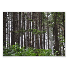 Foto 5X7 La Push 2ª Ruta de la Playa