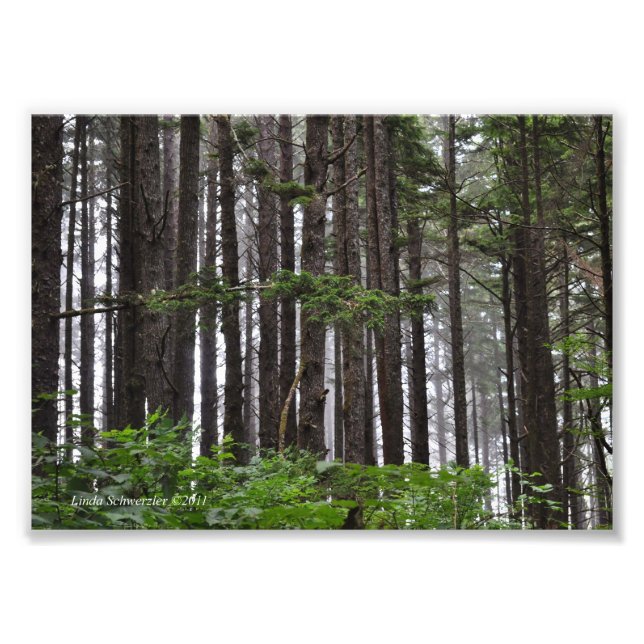 Foto 5X7 La Push 2ª Ruta de la Playa (Frente)