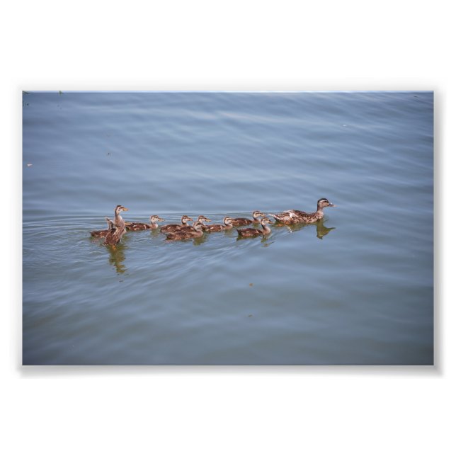 Foto 6x4 Papel Kodak (Frente)