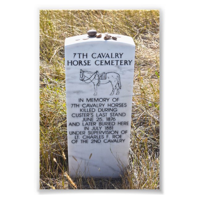 Foto 7.º Memorial del Cementerio de Caballos de Caballe (Frente)