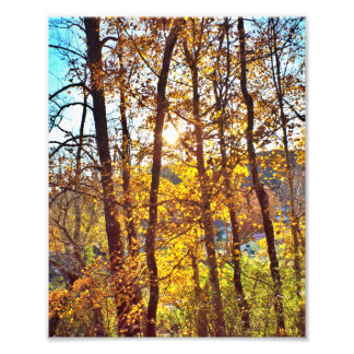 Foto 8 by 10 my view