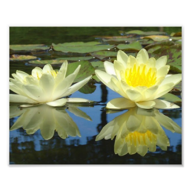 Foto 8x10 Amarillo Mellow (Frente)