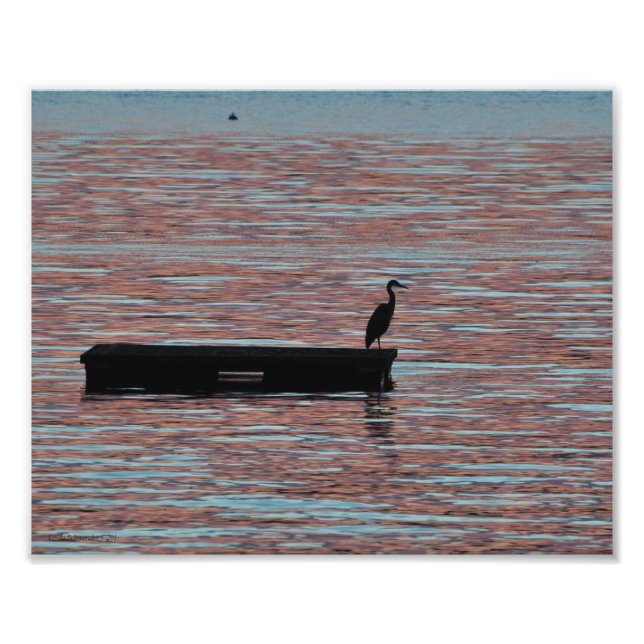 Foto 8X10 Gran Silouhette de Perla Azul (Frente)