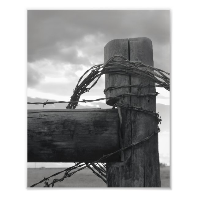 Foto 8x10 Print - Wood & the Wire (Frente)