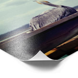 Foto 8x12 - "Chillin' Pelican" St. Augustine, FL