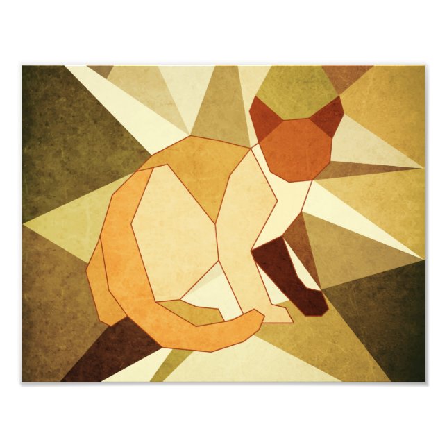 Foto 9.º gata (Frente)