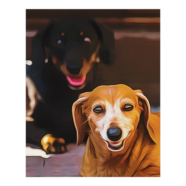 Foto A Dachshund Hot During The Summer Heatwave Poster (Frente)