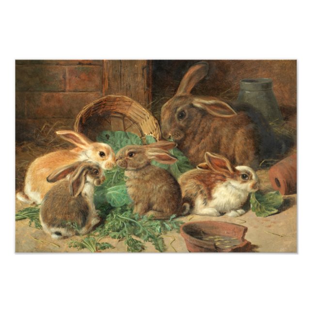 Foto A Mother Rabbit and her Young by Alfred Barber (Frente)