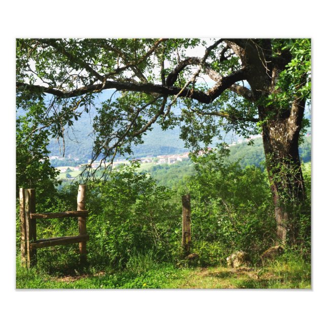 Foto A través del follaje (Frente)