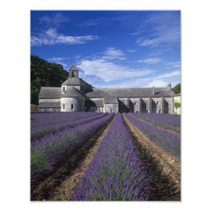 Foto Abadía de Senanque, Gordes, Vaucluse, Provenza,