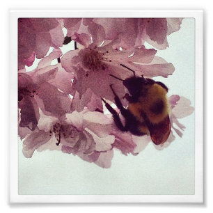 Foto Abeja de la acuarela