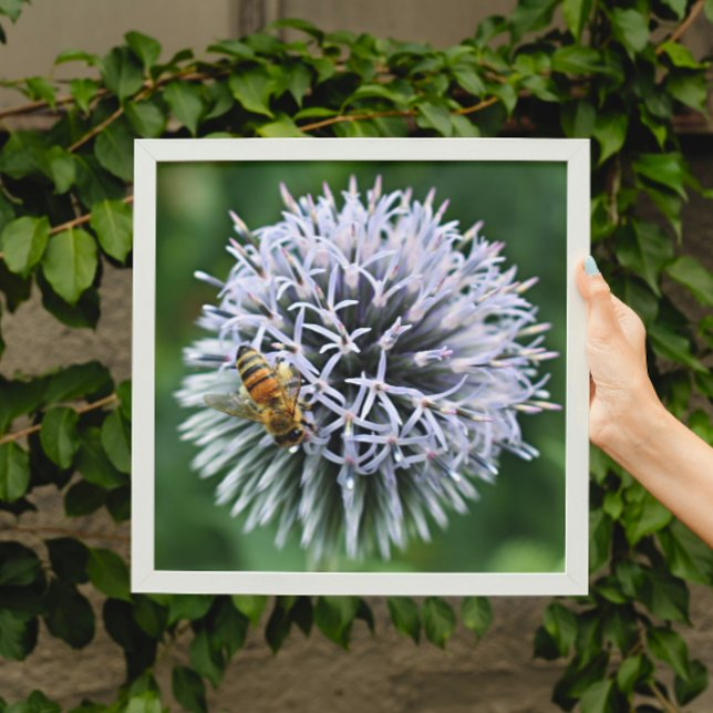 Foto Abeja de miel en globo Thistle Floral (In Situ (Framed))