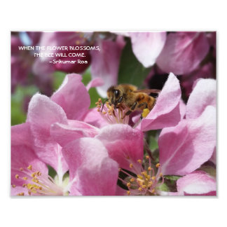 Foto Abeja de miel sobre la flor de manzana con cotizac