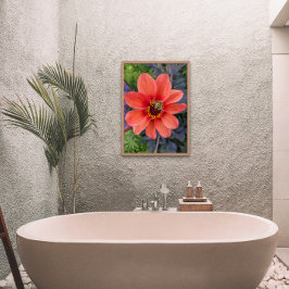 Foto Abeja por la floral Naranja Dahlia Bloom