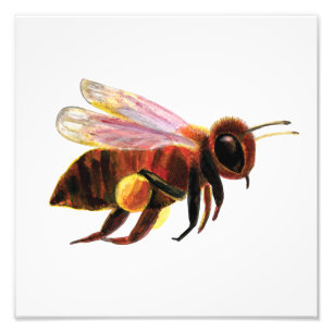 Foto Abeja volando