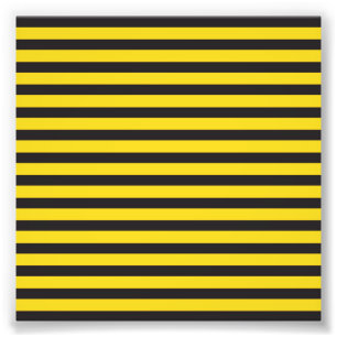 Foto Abejorro Negro Amarillo Líneas Horizontales Abeja