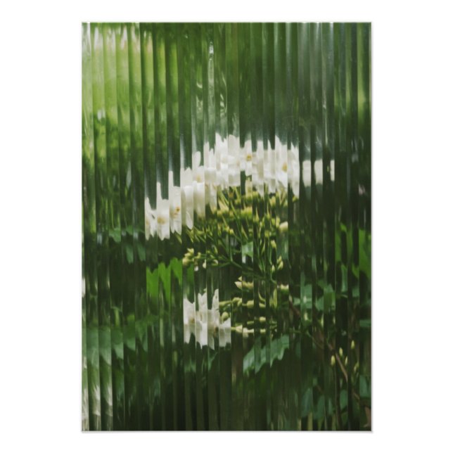 Foto  Abstract White Flowers through Reeded Glass  (Frente)