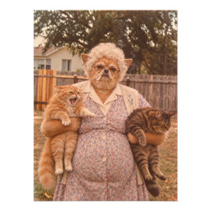 Foto Abuela Chihuahua Retro Sosteniendo Dos Gatos Enoja
