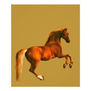 Foto Abuelo de Godolphin Arabian