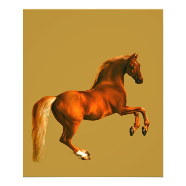 Foto Abuelo de Godolphin Arabian (Frente)