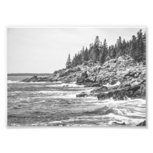 Foto Acadia Maine, en la costa rocosa, blanco y negro